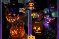 Projekt bez nazwy - 1