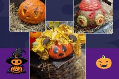 Projekt bez nazwy - 1