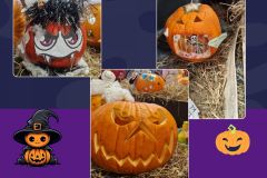 Projekt bez nazwy - 1