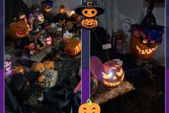 Projekt bez nazwy - 1