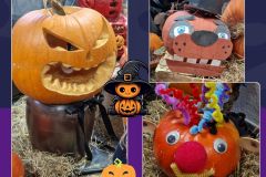 Projekt bez nazwy - 1