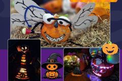 Projekt bez nazwy - 1