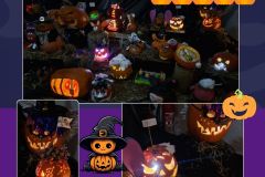 Projekt bez nazwy - 1