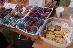 projekt-e-a_hawaje_wyspa-smieci-_-7C-_-2025-11