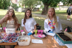 projekt-e-a_hawaje_wyspa-smieci-_-7C-_-2025-6