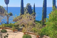 IMG_20250520_111639_1