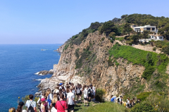 IMG_20250521_115119_1