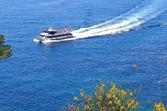 IMG_20250521_115318_1