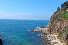 IMG_20250521_115633_1