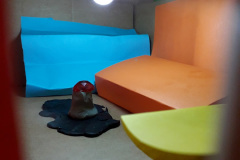 archi4
