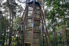 Dzień-drzewa7