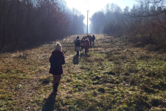 IMG-20230215-WA0077