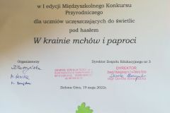 6-Mchy-tyt