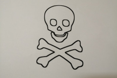 piraci8