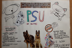 psu-na-budę