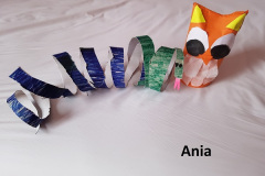 rolki4