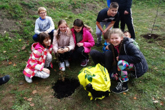 Projekt Edukacyjno-artystyczny WSADZAWKA - Szkolny Sad