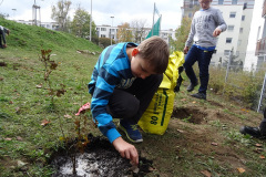 Projekt Edukacyjno-artystyczny WSADZAWKA - Szkolny Sad