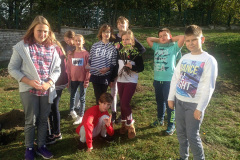 Projekt Edukacyjno-artystyczny WSADZAWKA - Szkolny Sad