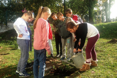 Projekt Edukacyjno-artystyczny WSADZAWKA - Szkolny Sad