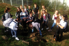 Projekt Edukacyjno-artystyczny WSADZAWKA - Szkolny Sad