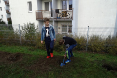 Projekt Edukacyjno-artystyczny WSADZAWKA - Szkolny Sad