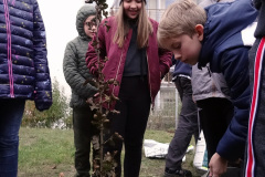 Projekt Edukacyjno-artystyczny WSADZAWKA - Szkolny Sad
