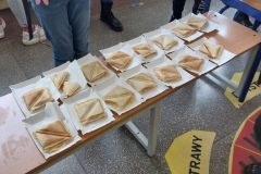 tost3