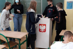 Wybory1